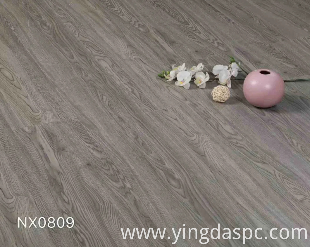 Eco-Friendly Vinyl Floor with Waterproof Nature (DL series)